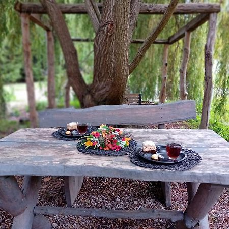 Stara Szkolas7 Noclegi,Mzajezierze 8 14-330 Mazury Małdyty Εξωτερικό φωτογραφία