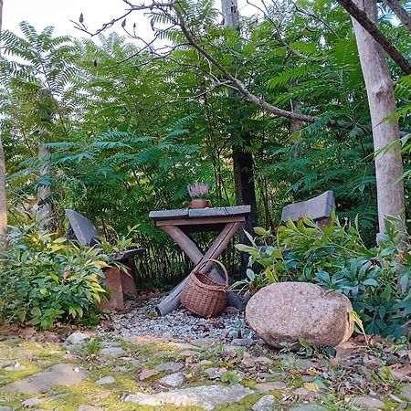 Stara Szkolas7 Noclegi,Mzajezierze 8 14-330 Mazury Małdyty Εξωτερικό φωτογραφία