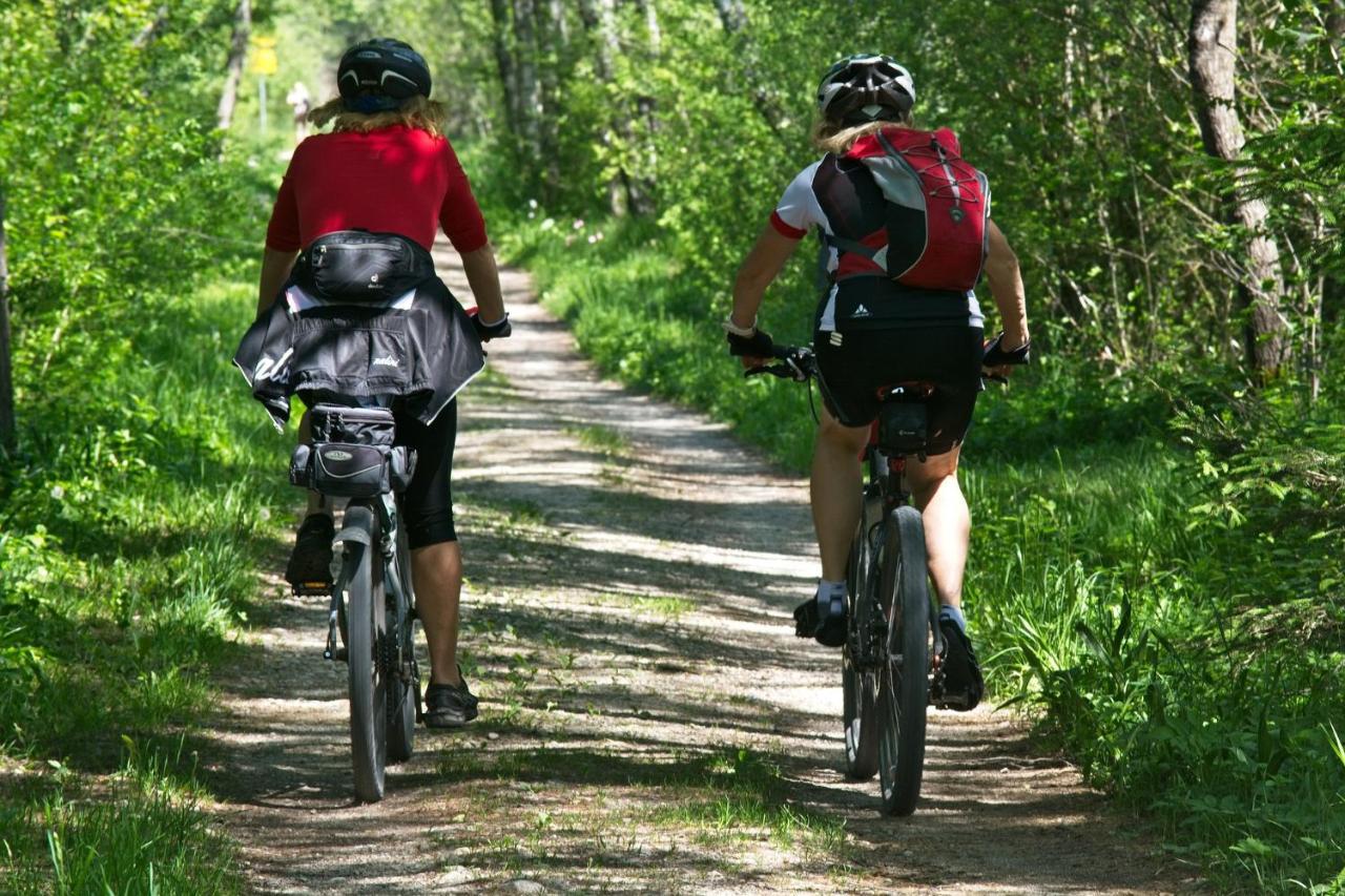 Stara Szkolas7 Noclegi,Mzajezierze 8 14-330 Mazury Małdyty Εξωτερικό φωτογραφία